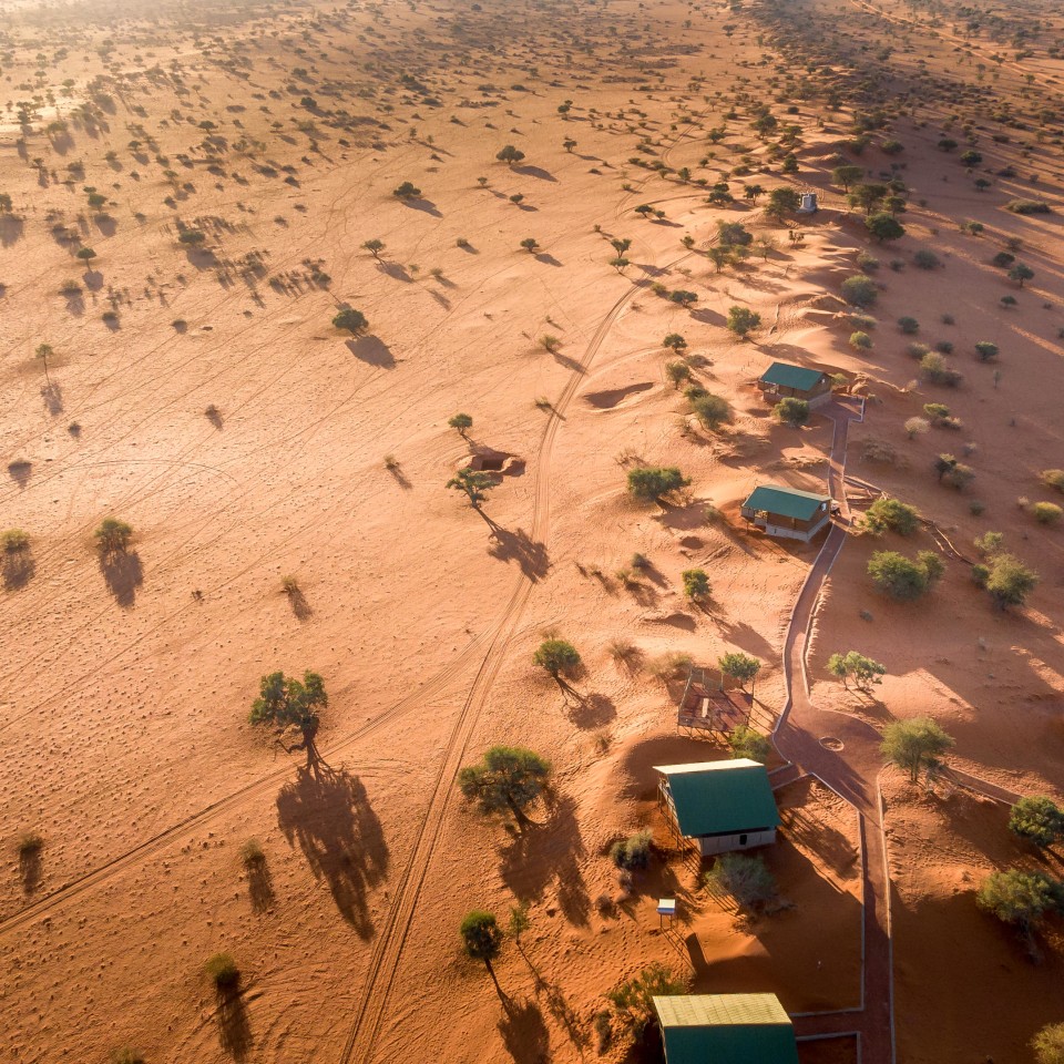 Bagatelle Kalahari Game Ranch